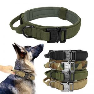 Dog collar Wholesale