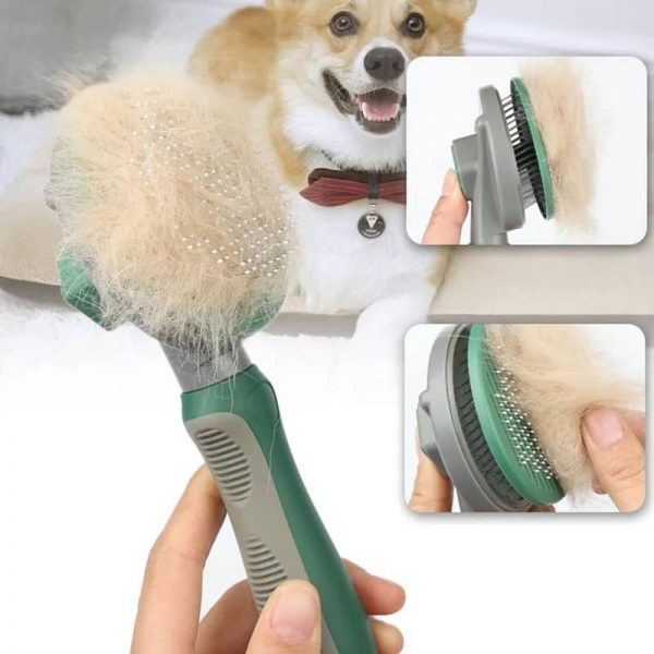 Brush For Pet