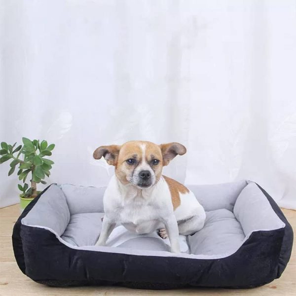 Pet Bed Supplier