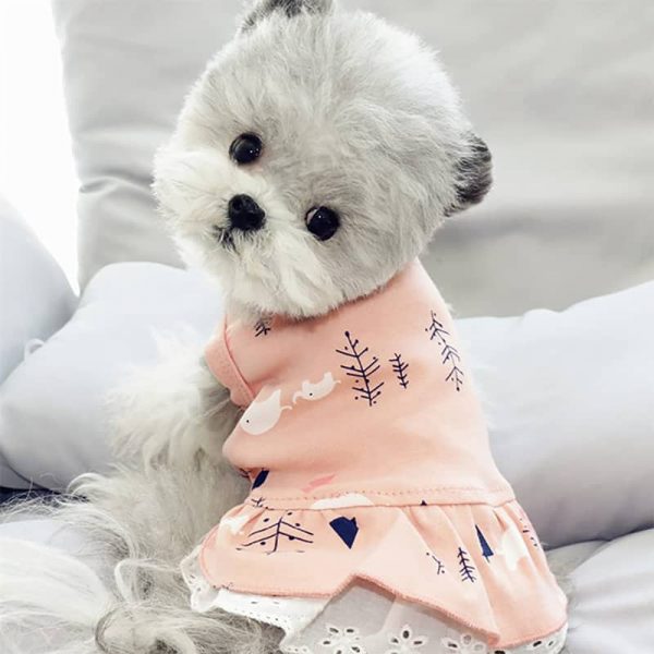 Cute Dog Dress2