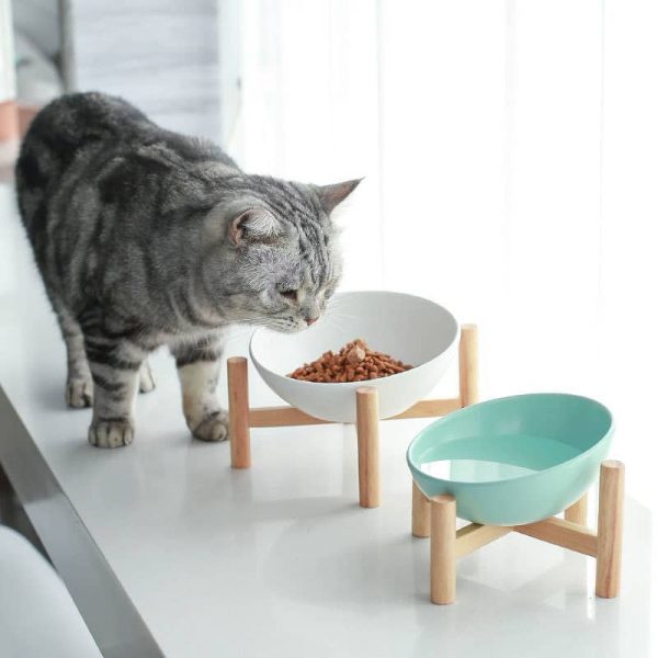 Ceramic Cat Bowl2