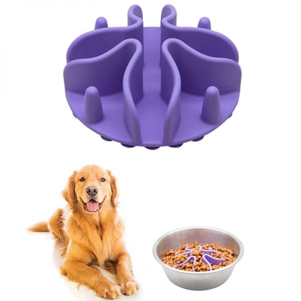 Dog Slow Feeder