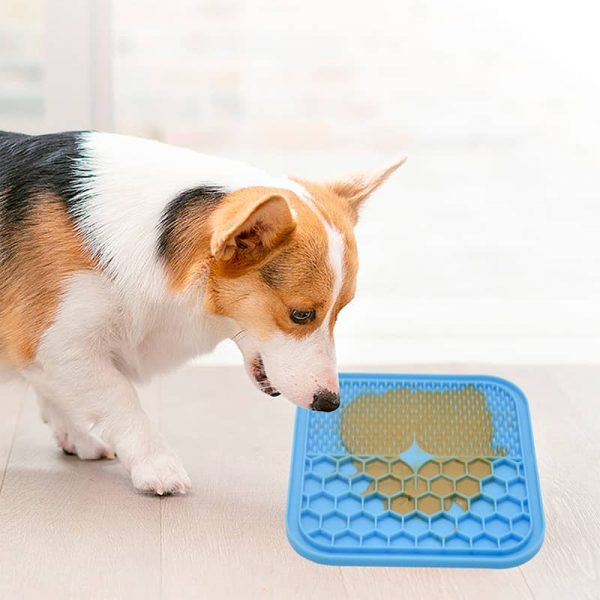 Dog Slow Feeder