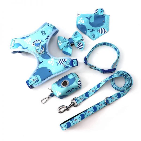 Dog Harness Set2