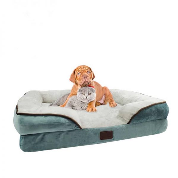 Memory Foam Dog Bed