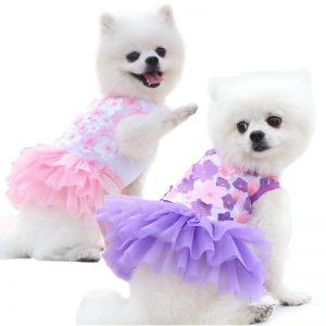 Summer Pet Clothes