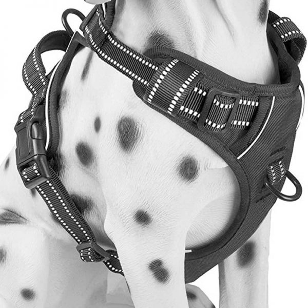 Training Dog Harness