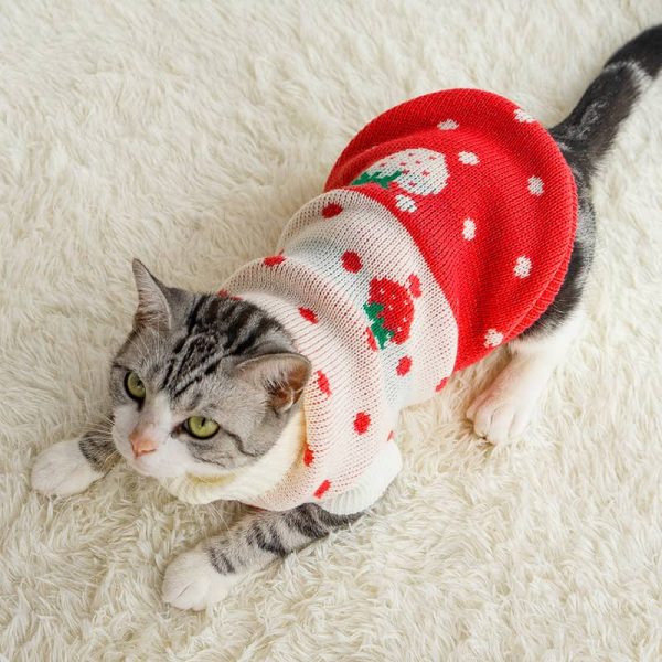 Wholesale Cat Sweater2