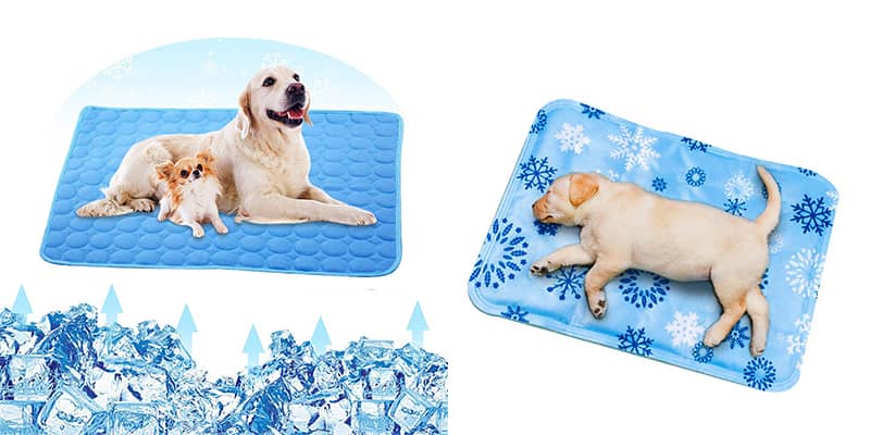 dog bed wholesale8