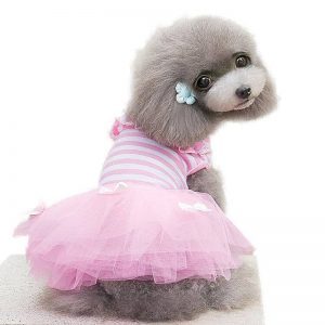 Cute Dog Dress