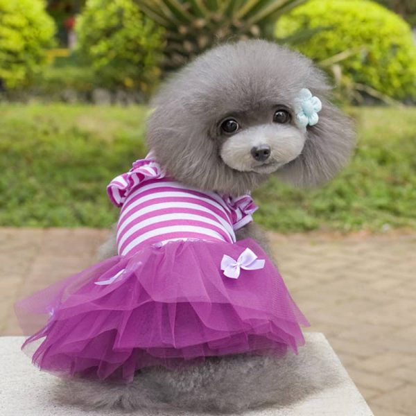 Cute Dog Dress2