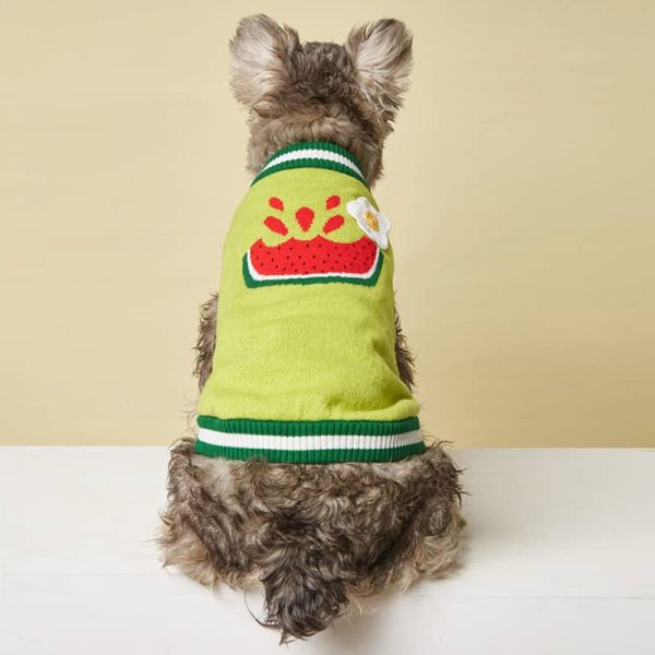 Dog Knit Sweater