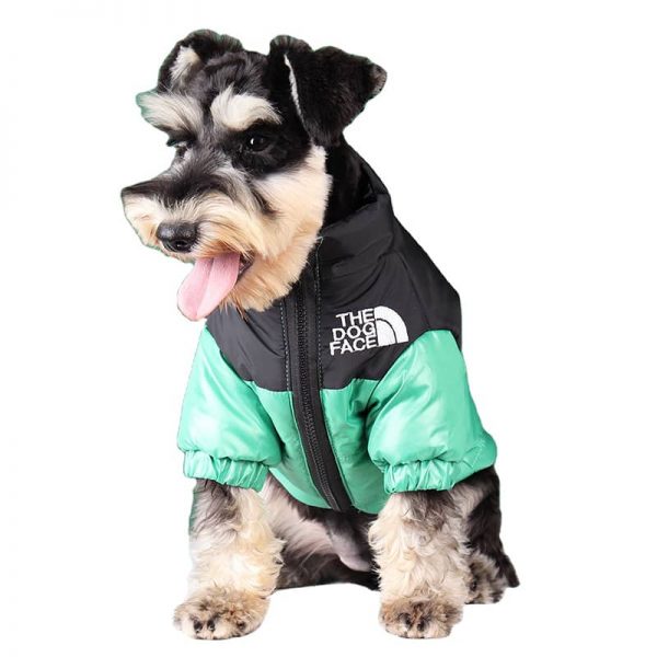 Luxury Pet Clothes