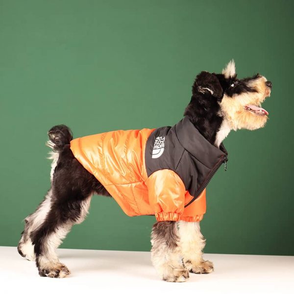 Luxury Pet Clothes