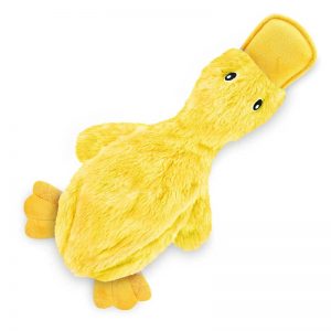 Squeaker Dog Toy