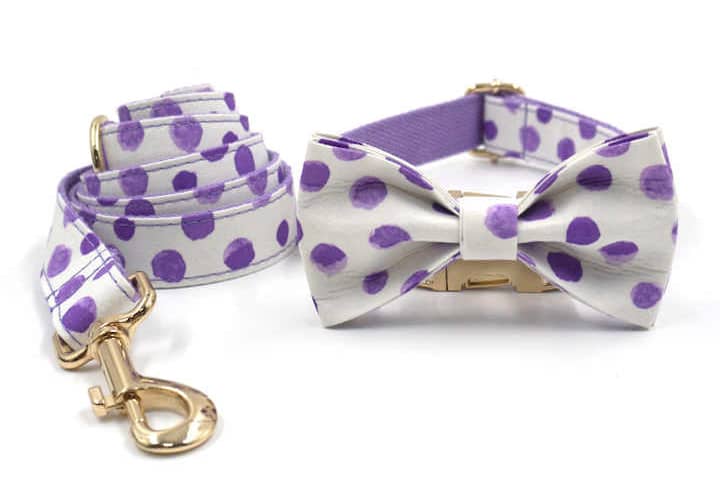 dog-collar-wholesale10.jpg