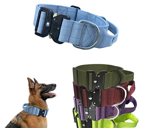 dog-collar-wholesale13.jpg