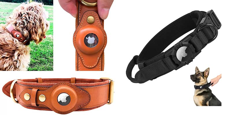 dog-collar-wholesale14.jpg