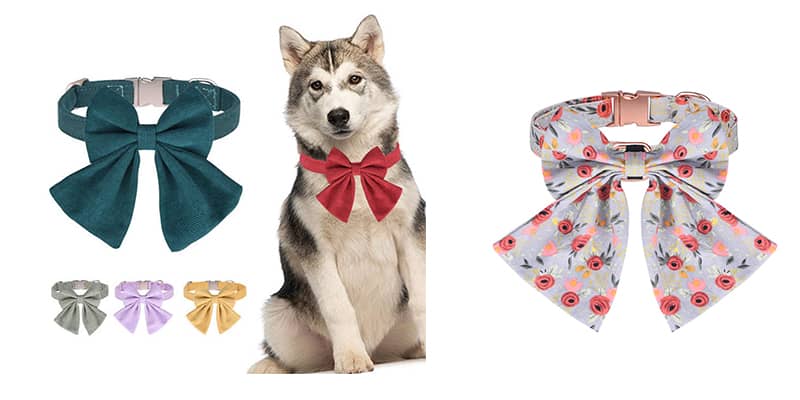 dog-collar-wholesale4.jpg