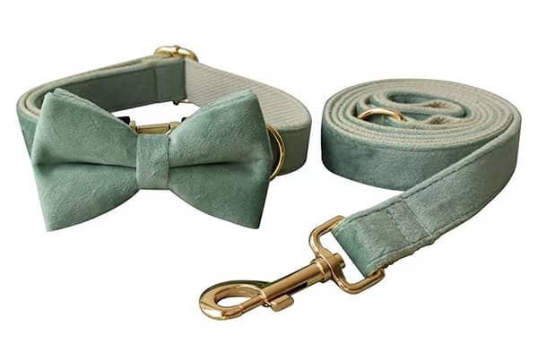 dog-collar-wholesale7.jpg