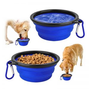 Collapsible Dog Bowl