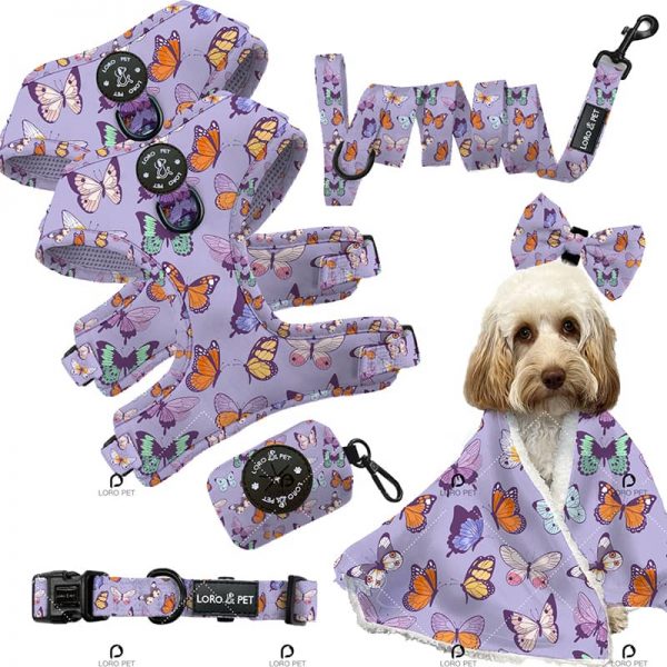 Colorful Dog Harness2