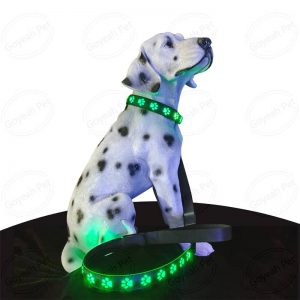 LED Dog Leash