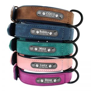 Luxury Dog Collar