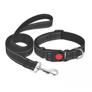 Reflective Dog Leash