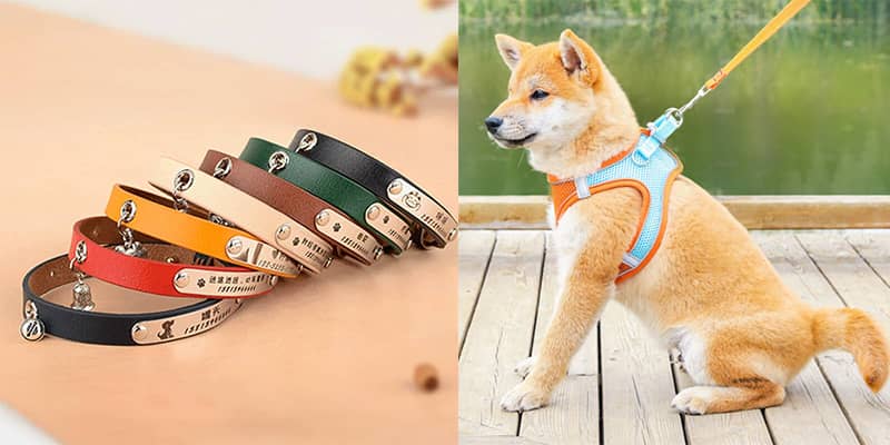 dog collar manufacturer