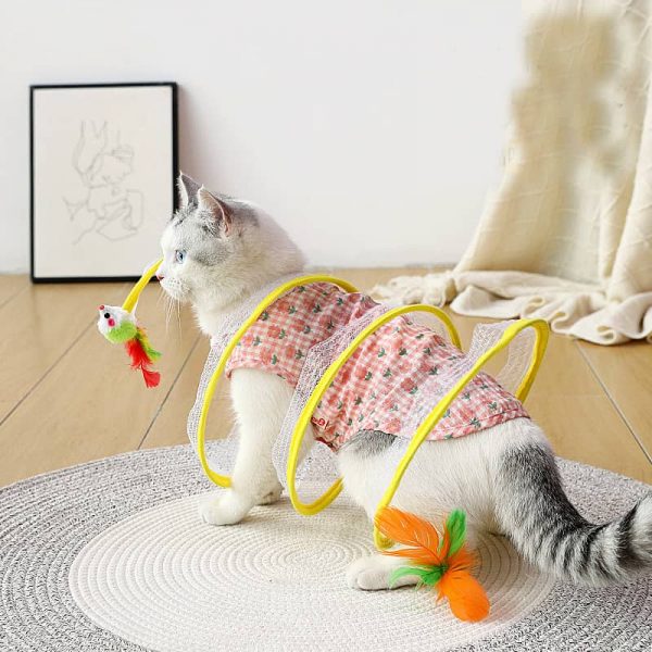 Cat Tunnel Toy2