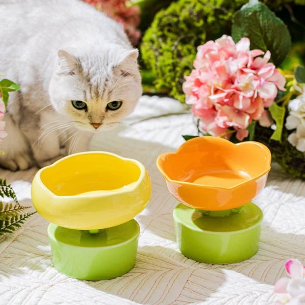 Ceramic Cat Bowl
