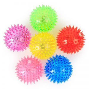 Pet Toy Ball