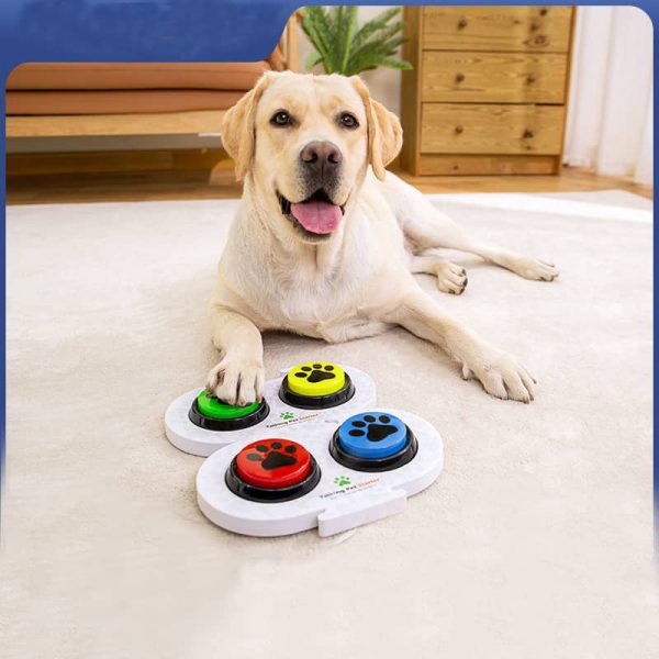 Dog Interactive Toy2