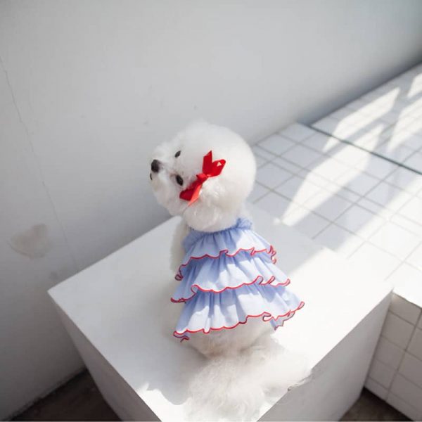 Summer Pet Dress2