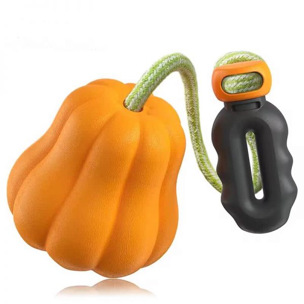 Pumpkin Ball Dog Toy