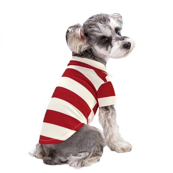 Striped Dog Clothes