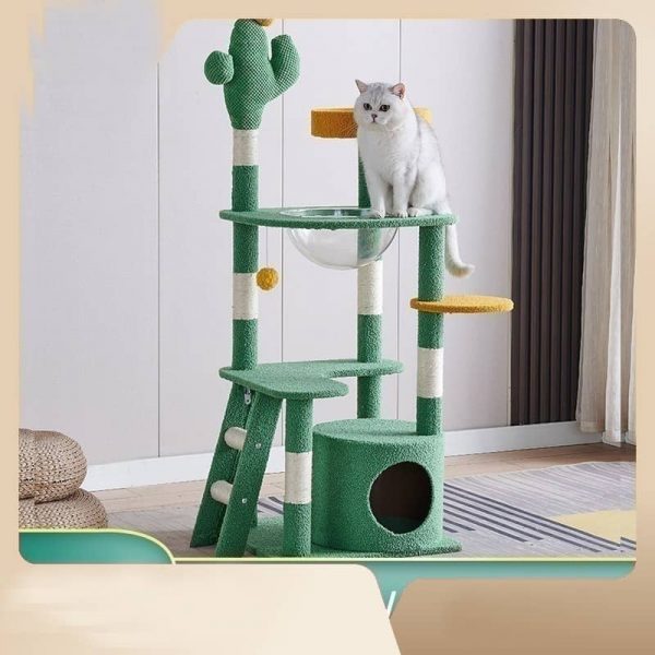 Cactus Cat Climbing Frame