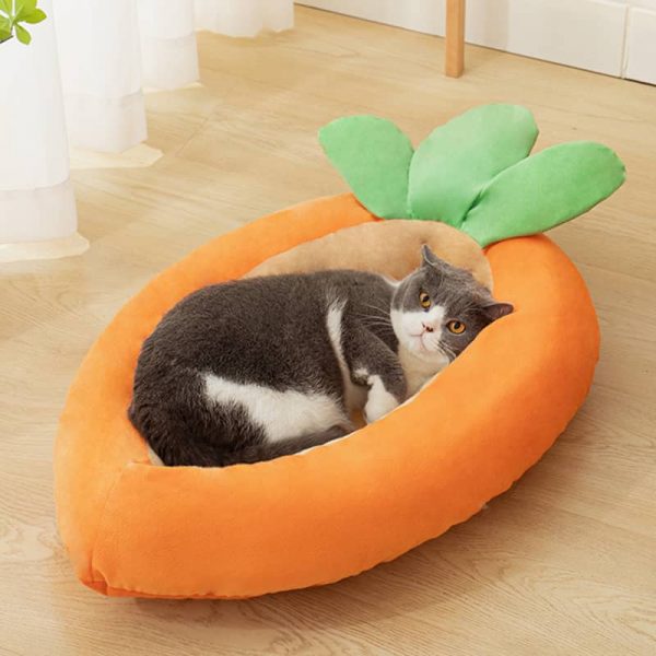 Carrot Cat Nest2