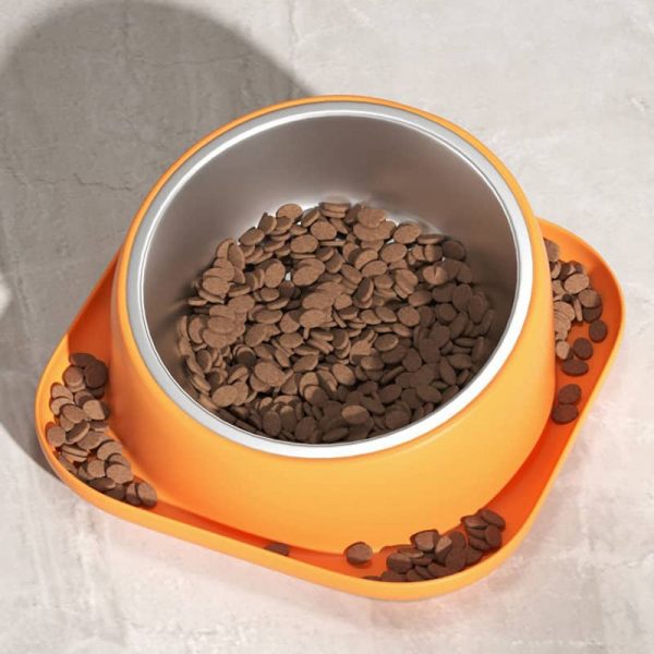 Combination Pet Bowl2