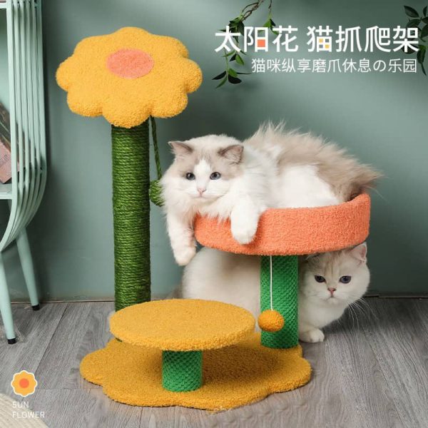 Cute Cat Climbing Frame