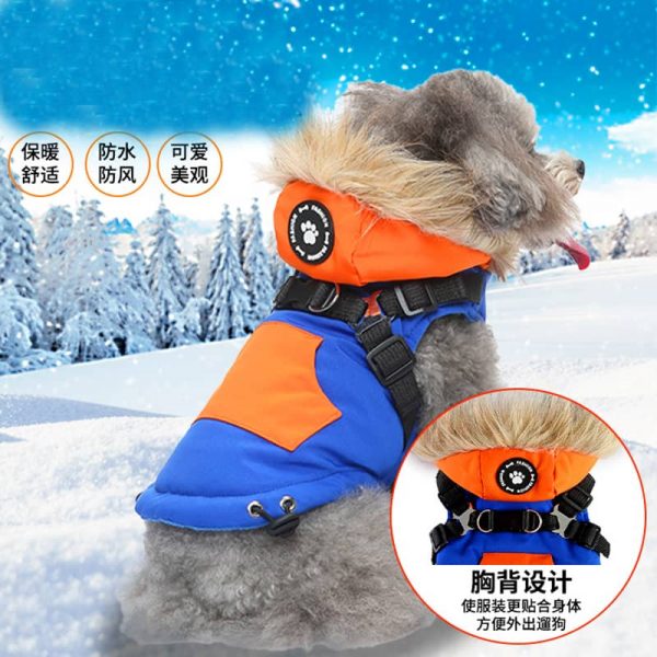 Winter Dog Clothes2