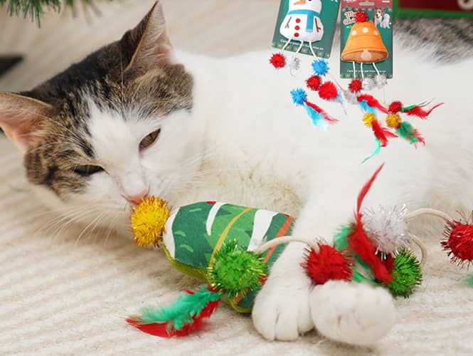 christmas-cat-toy10.jpg