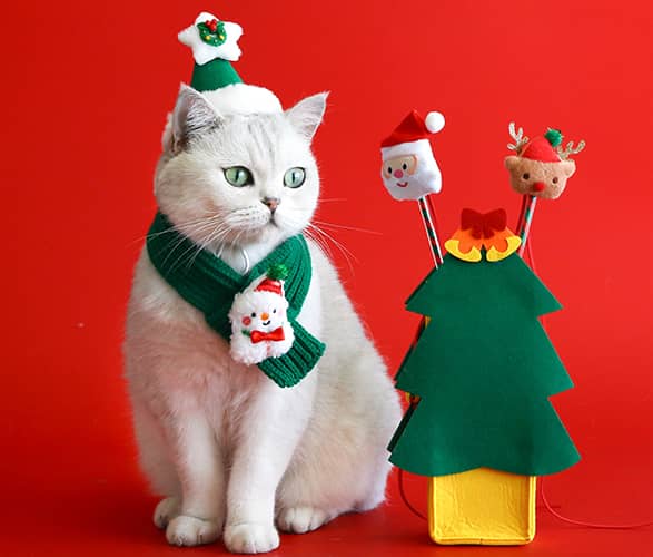 christmas-cat-toy9.jpg