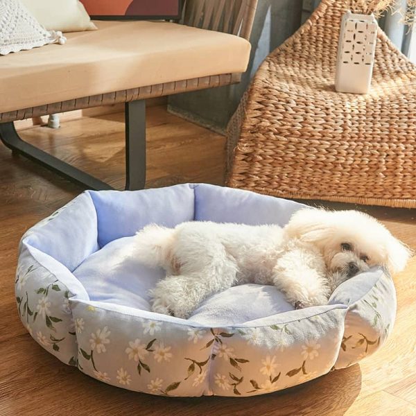 Printed Dog Bed