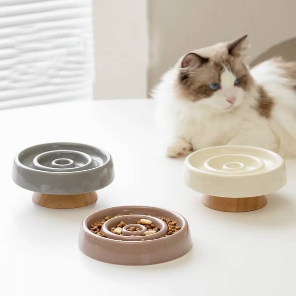 Slow Food Pet Bowl