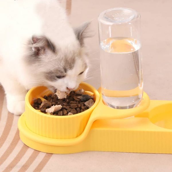 Wholesale Pet Bowl