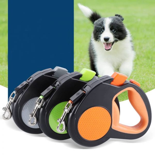 Retractable Pet Leash2